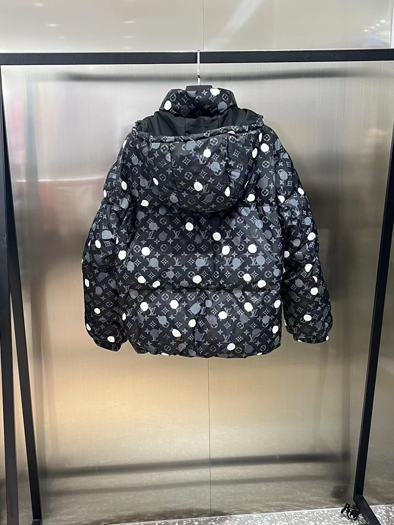 Louis Vuitton Down Jackets